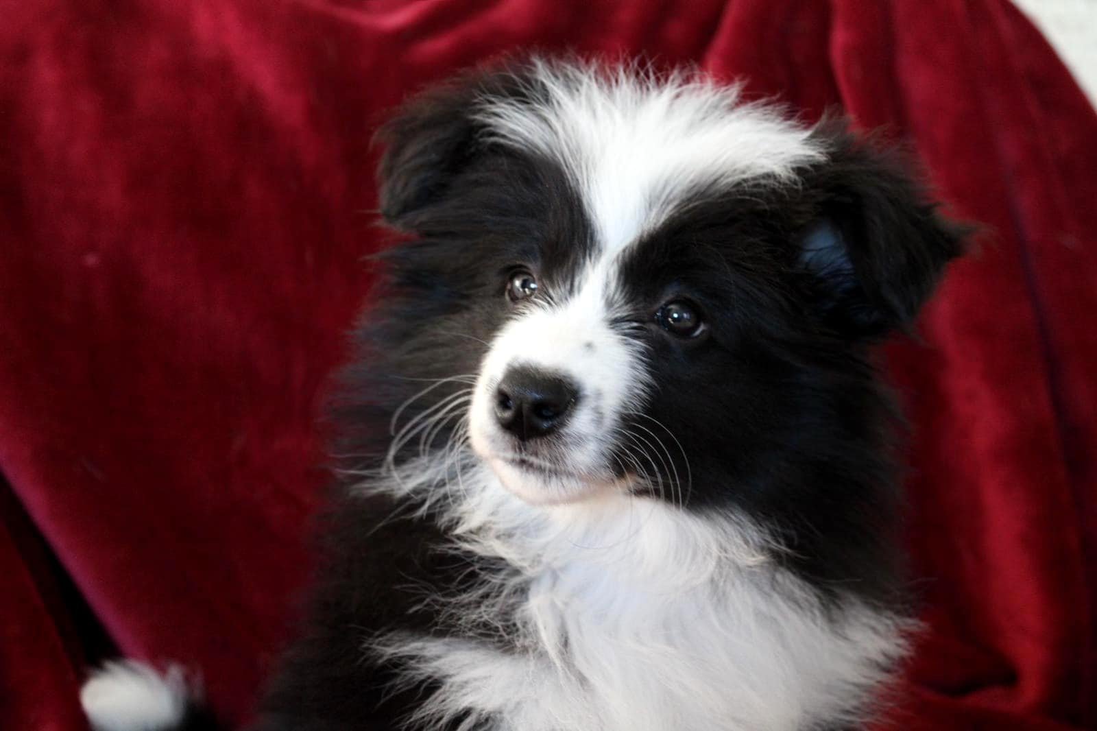 272257814_247471827536450_1888949378600138378_n