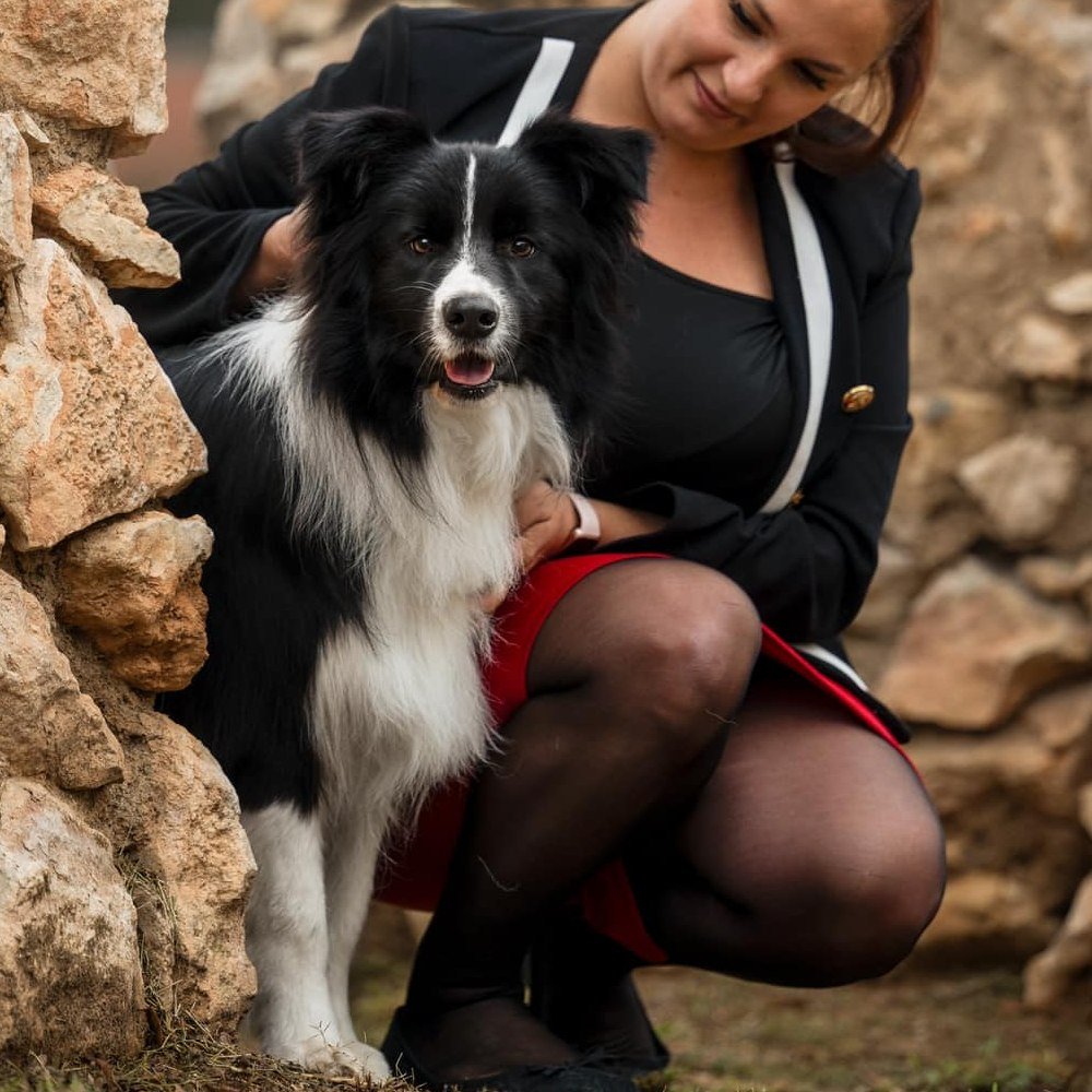 Cooper Gana la Clase Jóvenes en la Exposición Canina de Torrepacheco (Murcia)