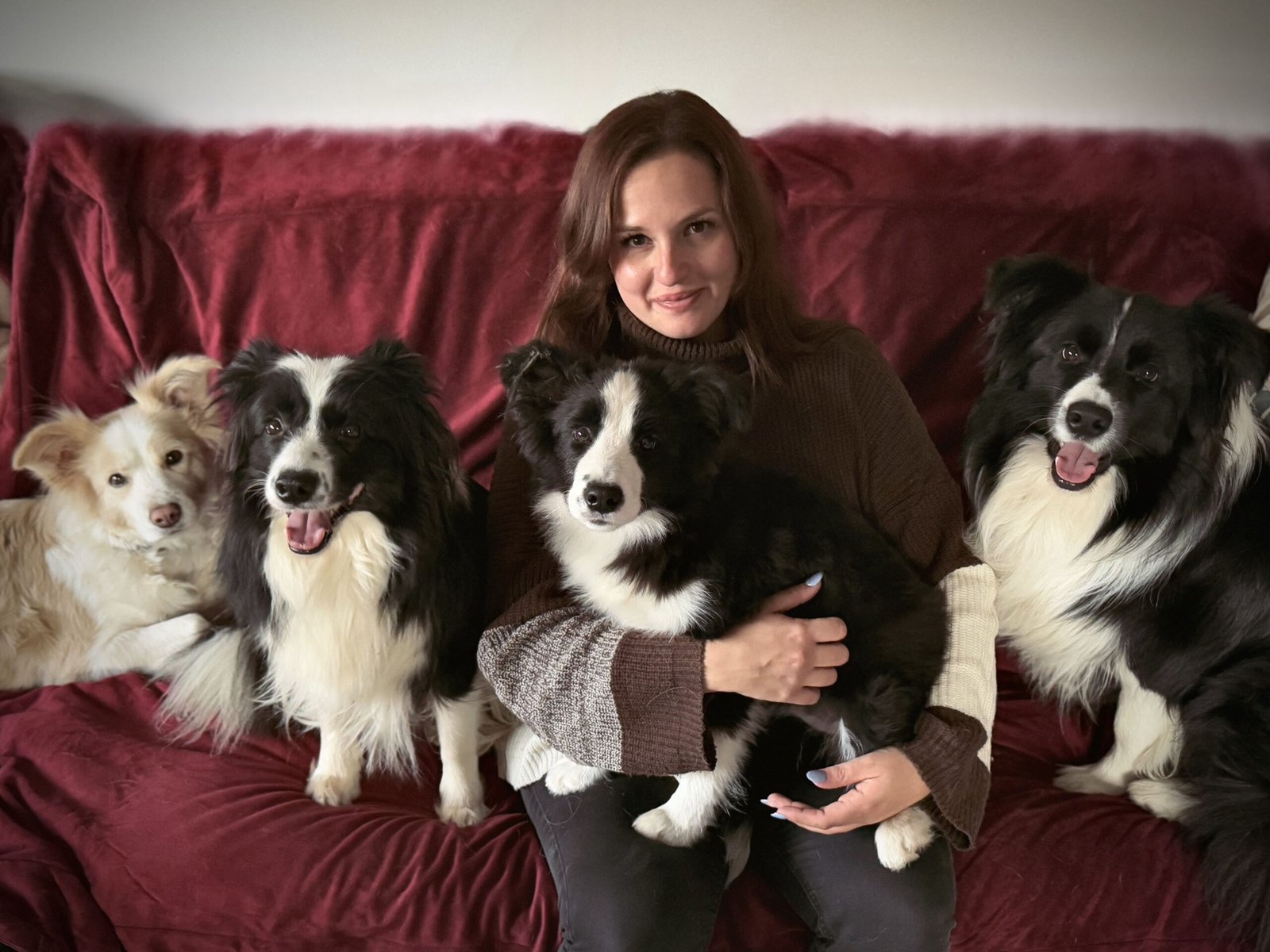 familia bordercollie