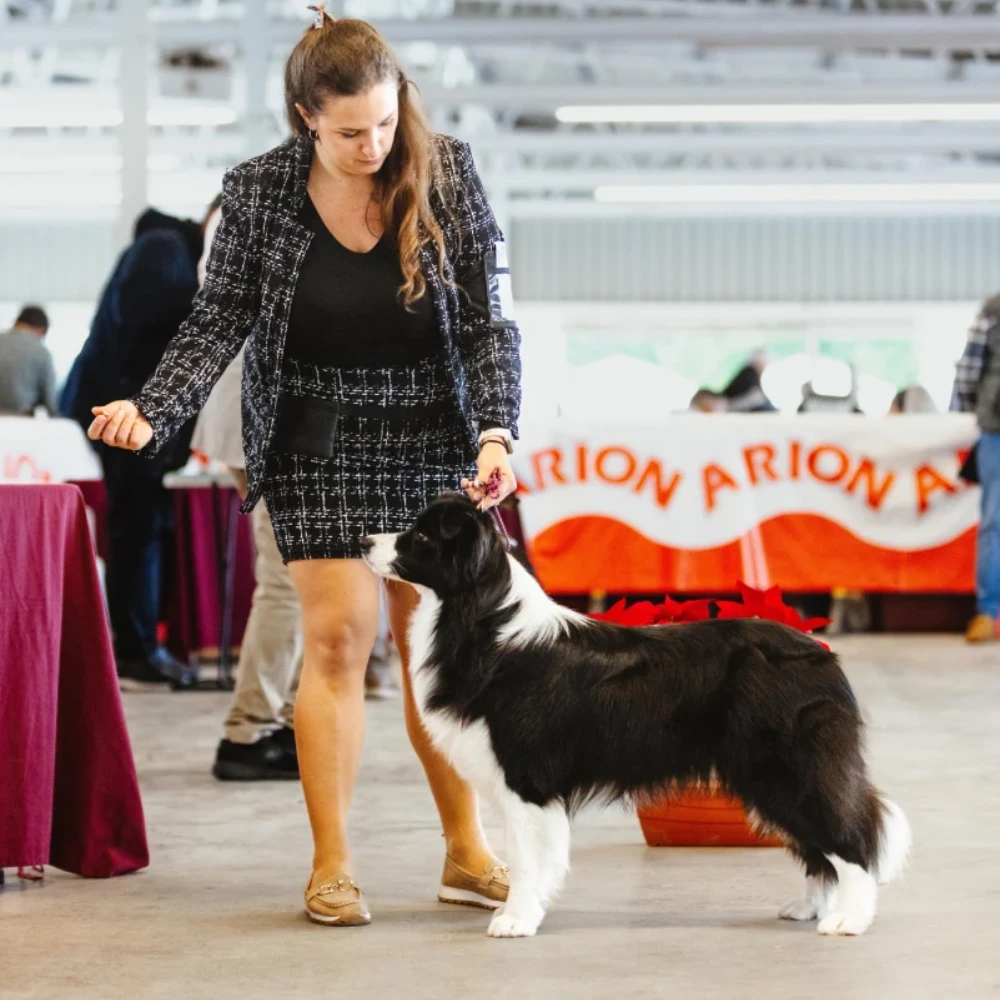 Allie destaca en la Exposición Nacional de Valencia